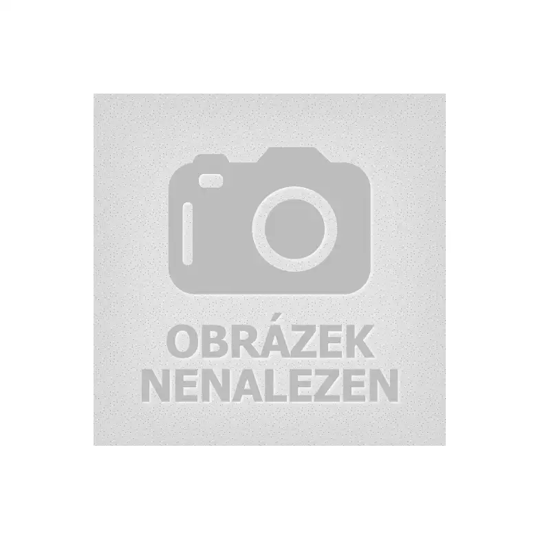 Ceny na spotovém trhu: DUBEN